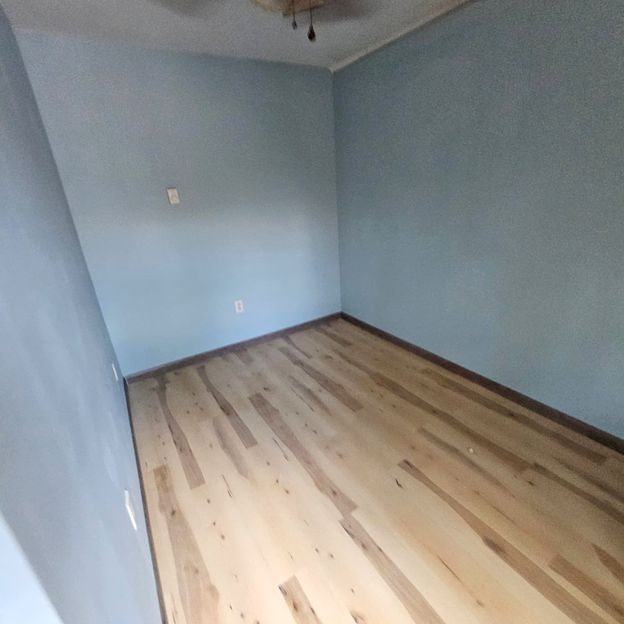 Plank flooring and dark base trim in a blue-painted room
