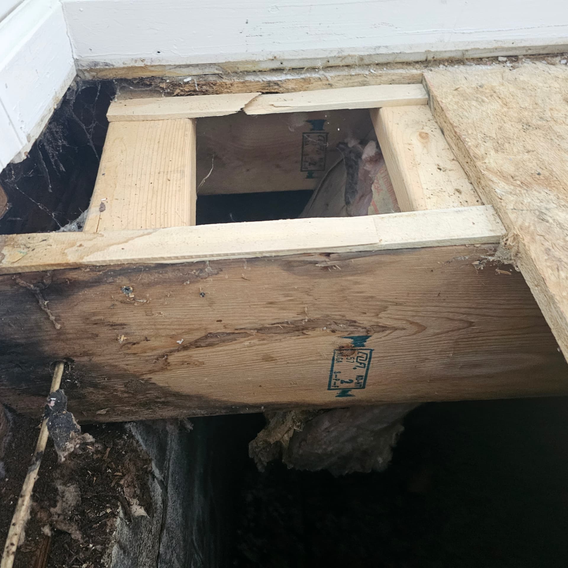 New lumber sistered to damaged joists